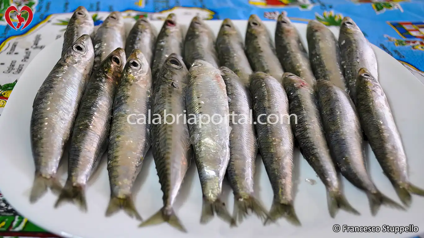 Ricetta Calabrese delle Sarde Arriganate